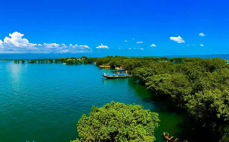 Dhaka - Tanguar Haor - Dhaka (4 Night 3 Days)